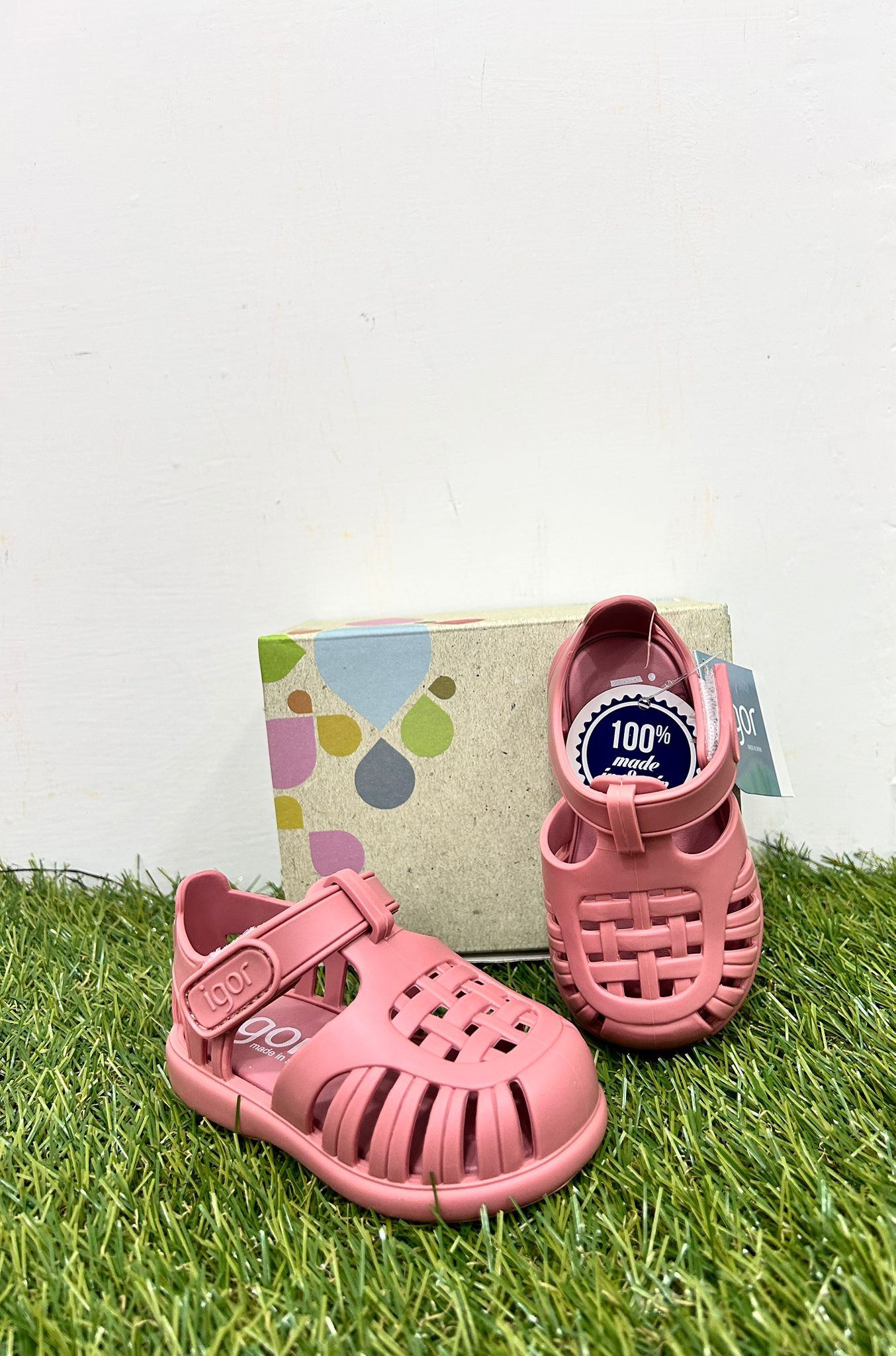 S10271 IGOR ragno rosa