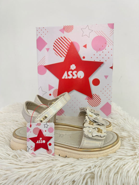 AG-17231 ASSO cipria