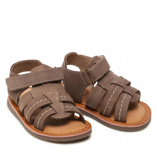 65993 Gioseppo Jatoba taupe