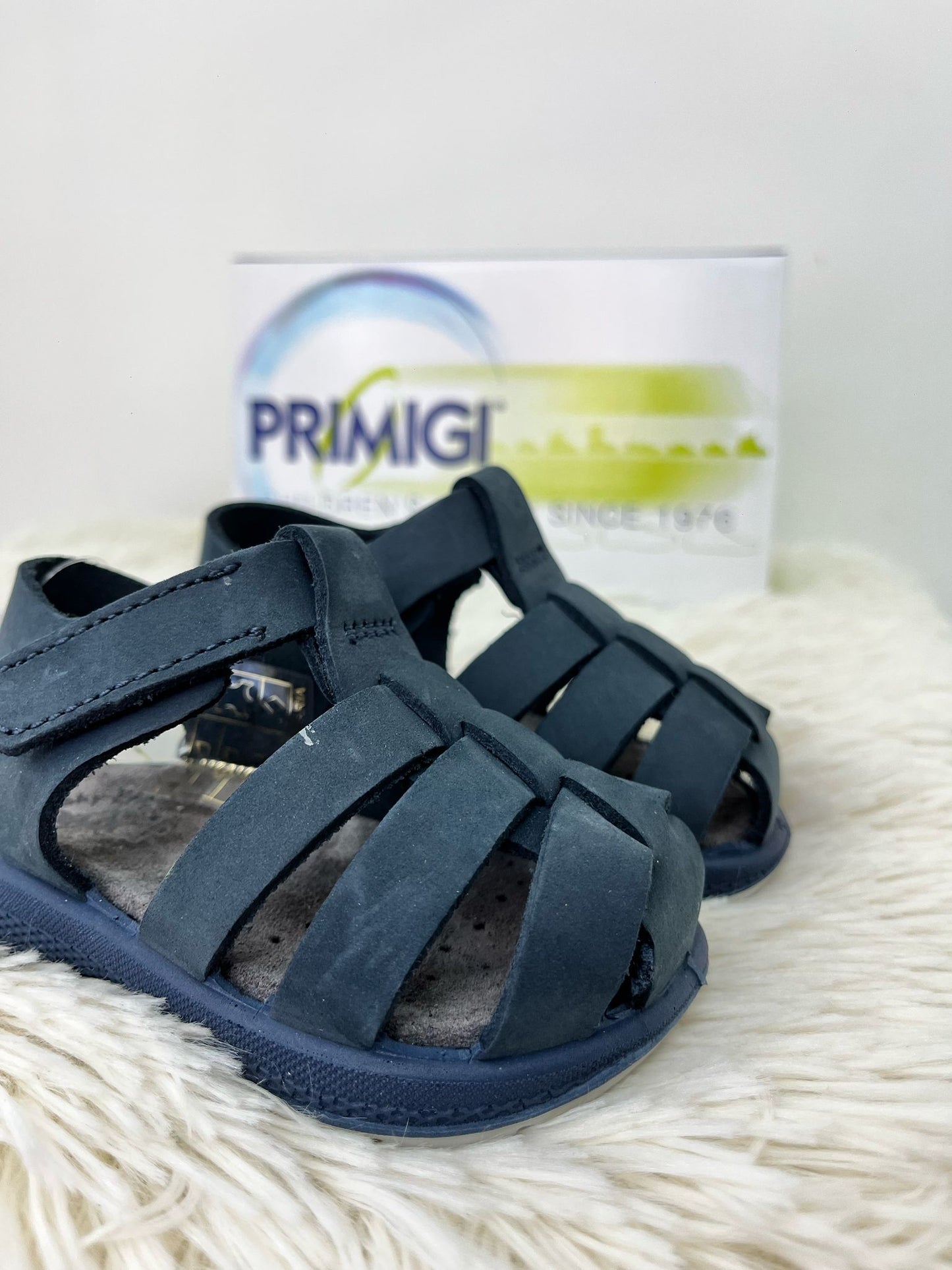 7870522 PRIMIGI ragnetto blu