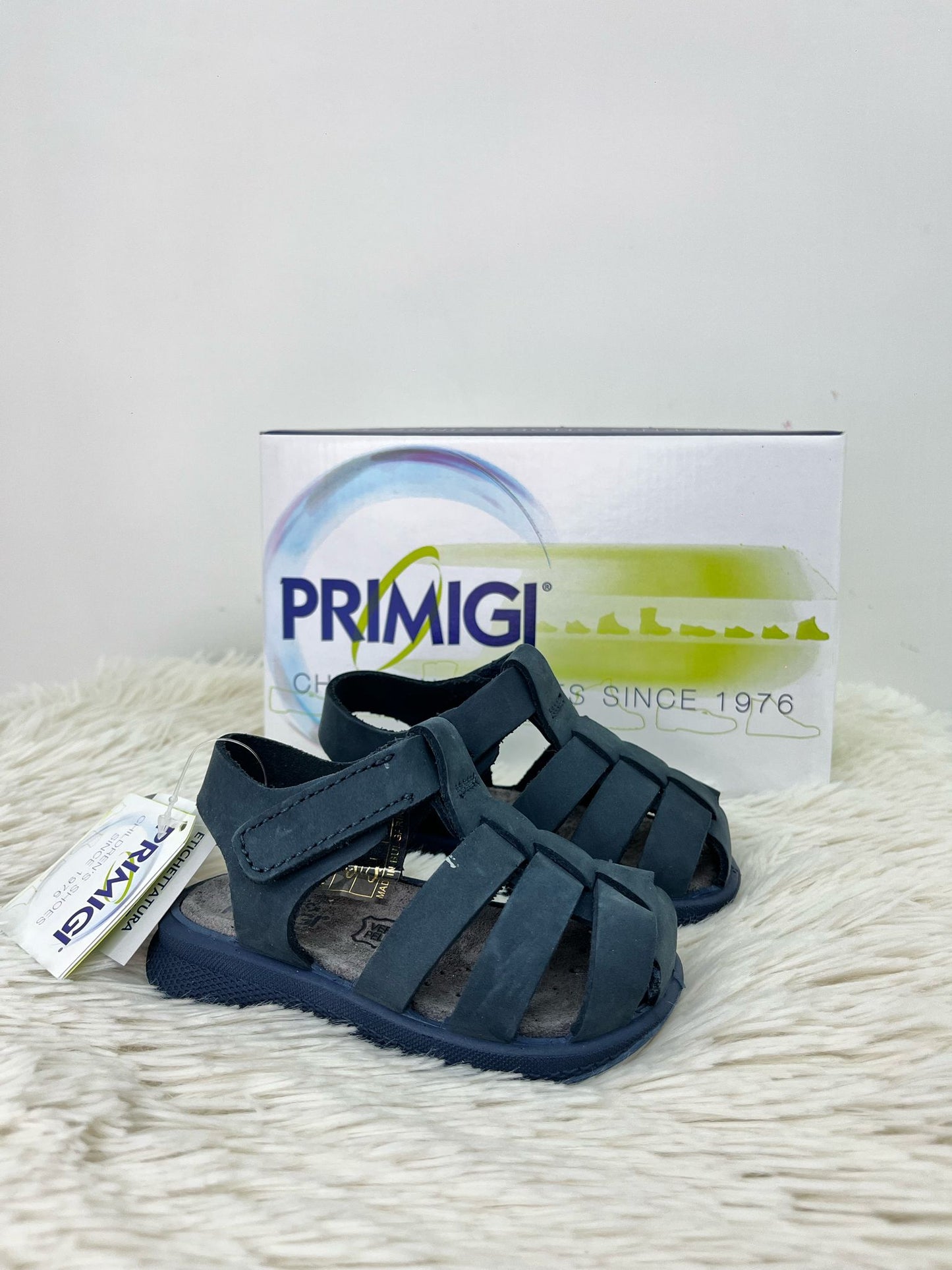 7870522 PRIMIGI ragnetto blu