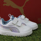 404346 PUMA bianca boreale