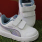 404346 PUMA bianca boreale