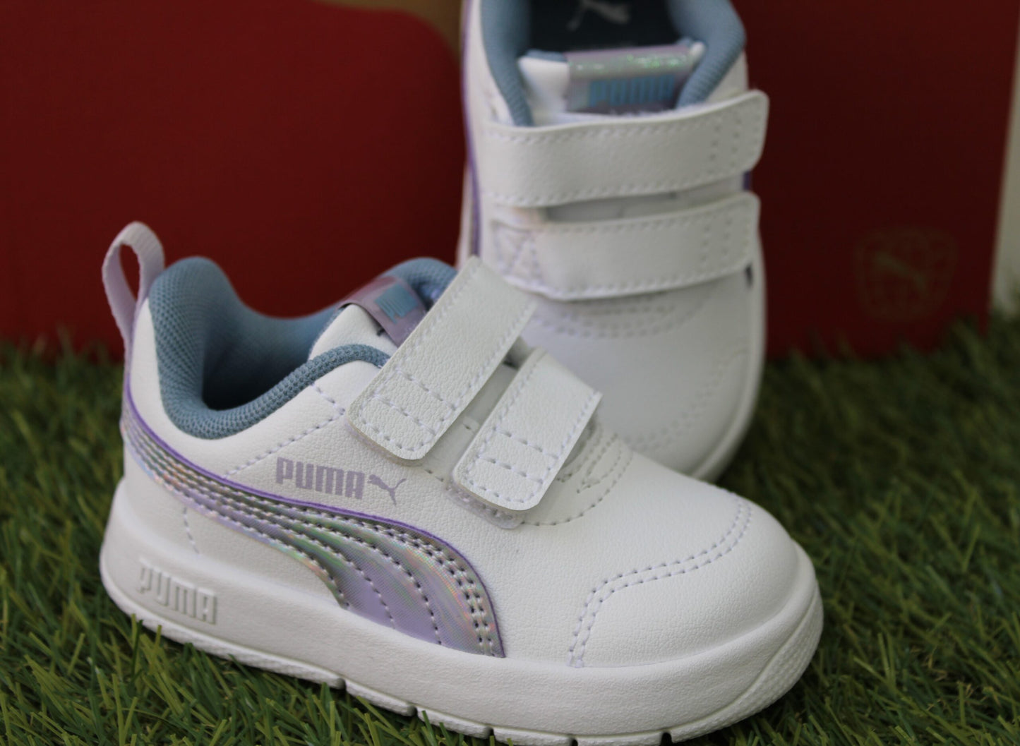 404346 PUMA bianca boreale