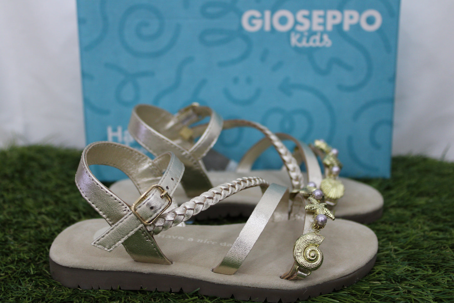 ERDUT GIOSEPPO conchiglia