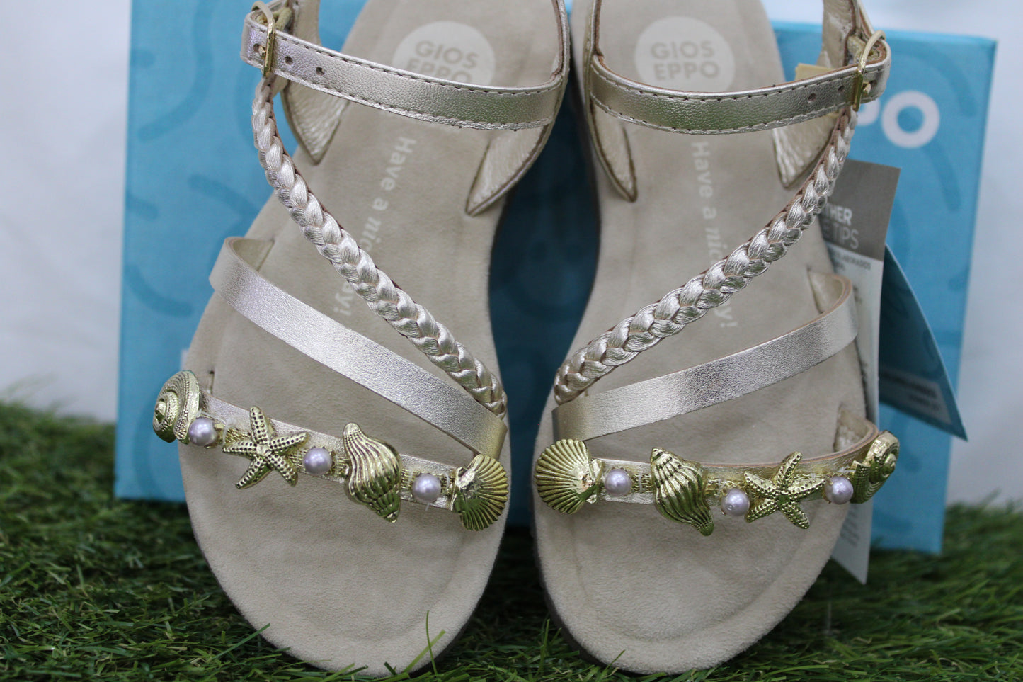 ERDUT GIOSEPPO conchiglia