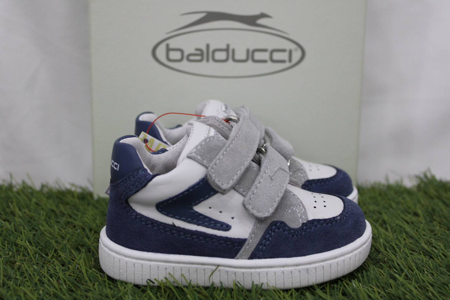 MSPO4881 BALDUCCI blu