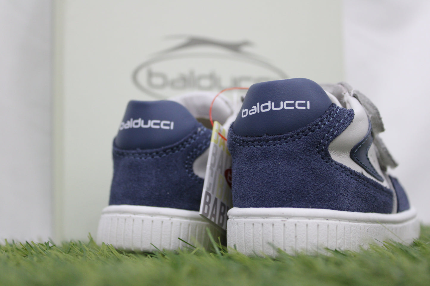 MSPO4881 BALDUCCI blu