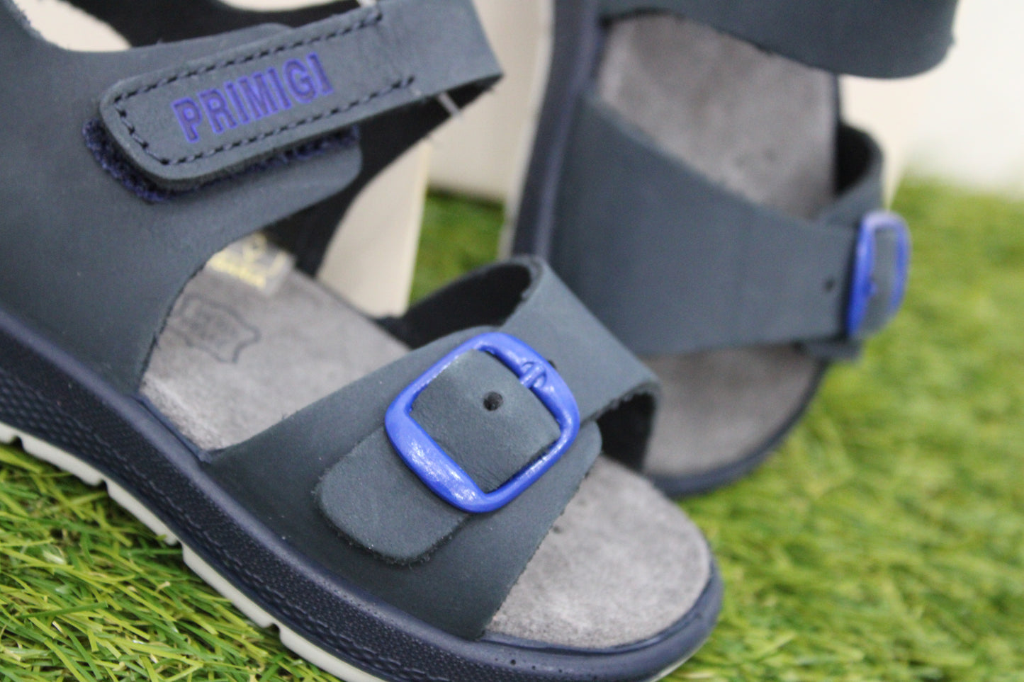 1365900 PRIMIGI blu