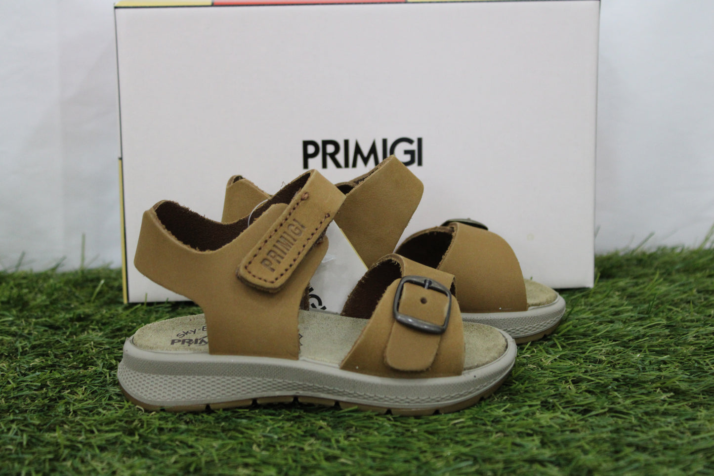 1365911 PRIMIGI cachi
