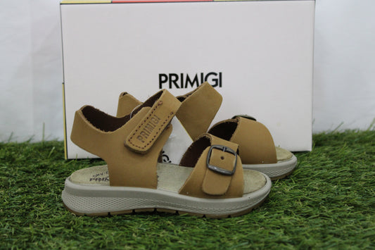 1365911 PRIMIGI cachi
