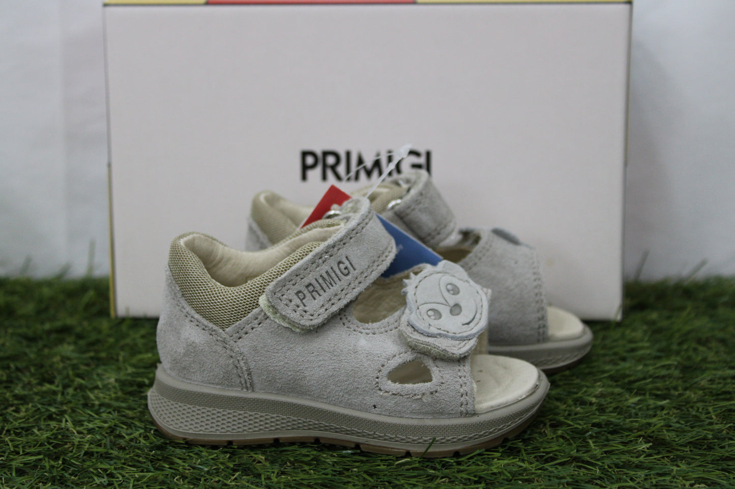 1365511 PRIMIGI scimmia