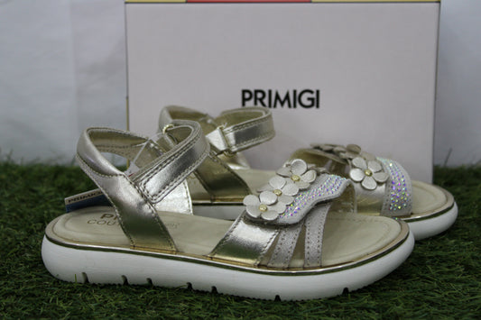 1435122 PRIMIGI oro