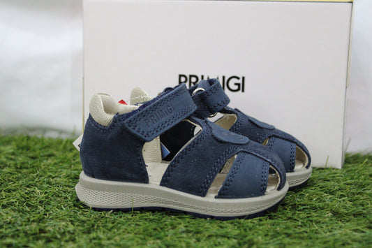 1365700 PRIMIGI ragno