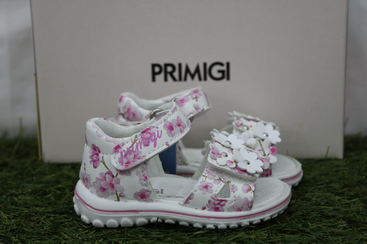 1364333 PRIMIGI fiori