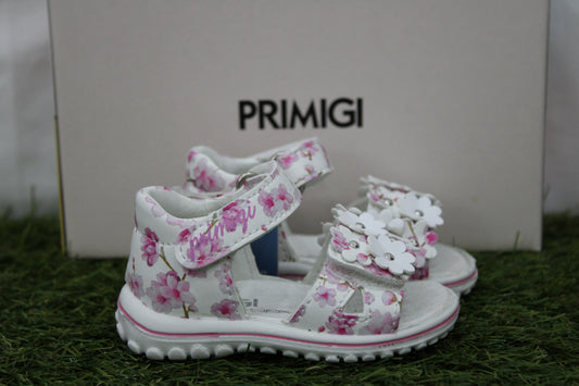 1364333 PRIMIGI fiori