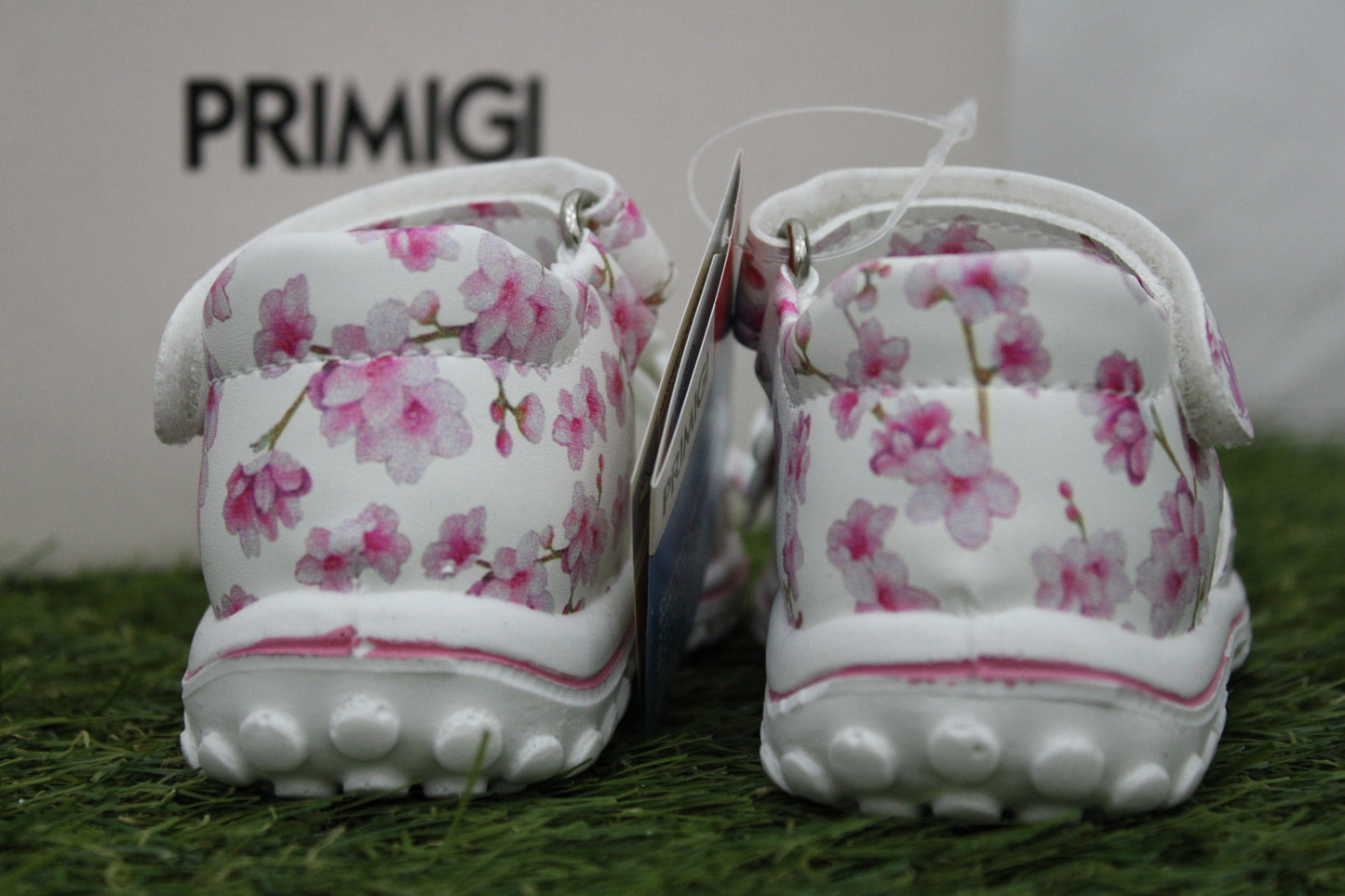 1364333 PRIMIGI fiori