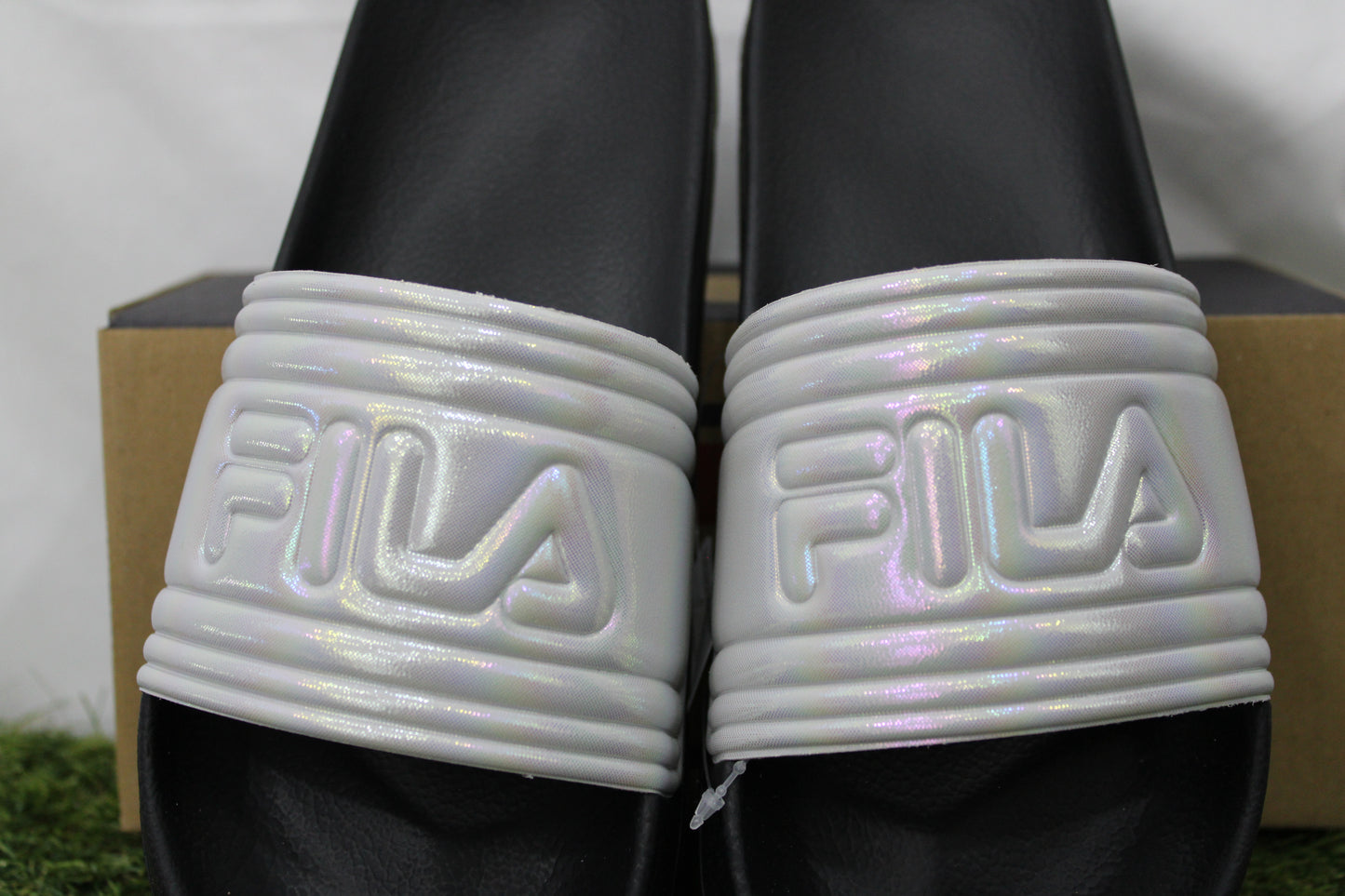 FFW0644 FILA boreale