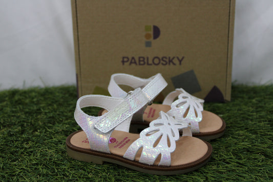 071100 PABLOSKY boreale
