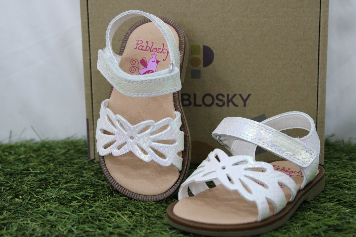 071100 PABLOSKY boreale