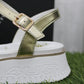 4BX177 PACIOTTI oro