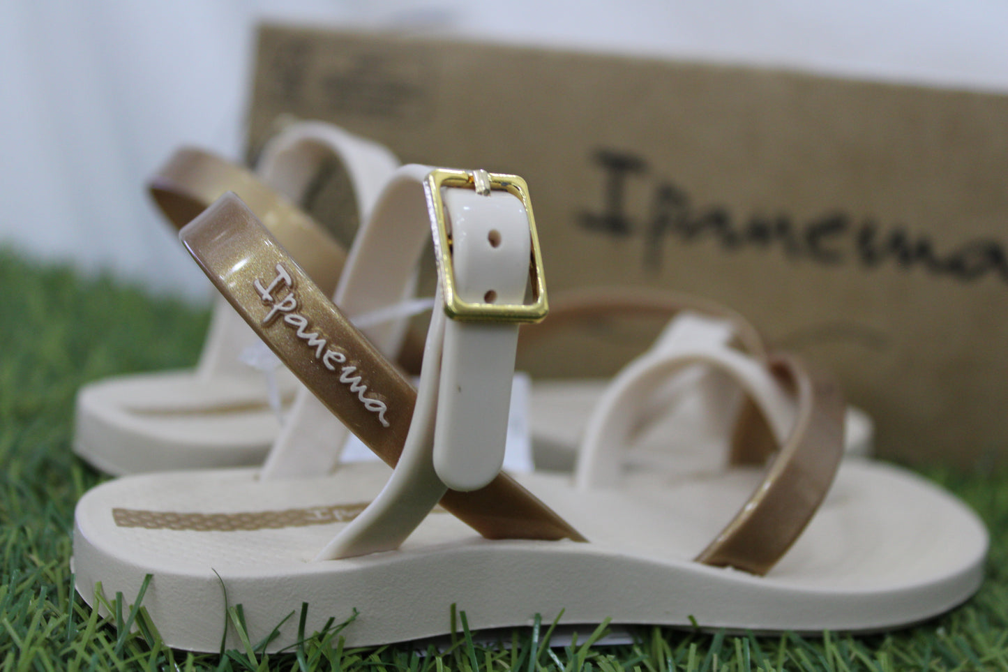 IP83534 IPANEMA crema/ bronzo