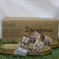 IP83807B ciabatta leopardata oro