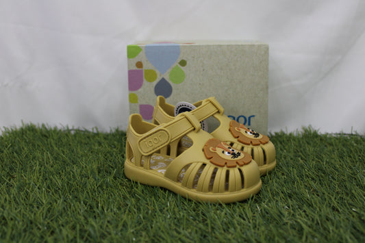 S10372 IGOR ragno leone