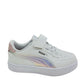 398729 PUMA boreale