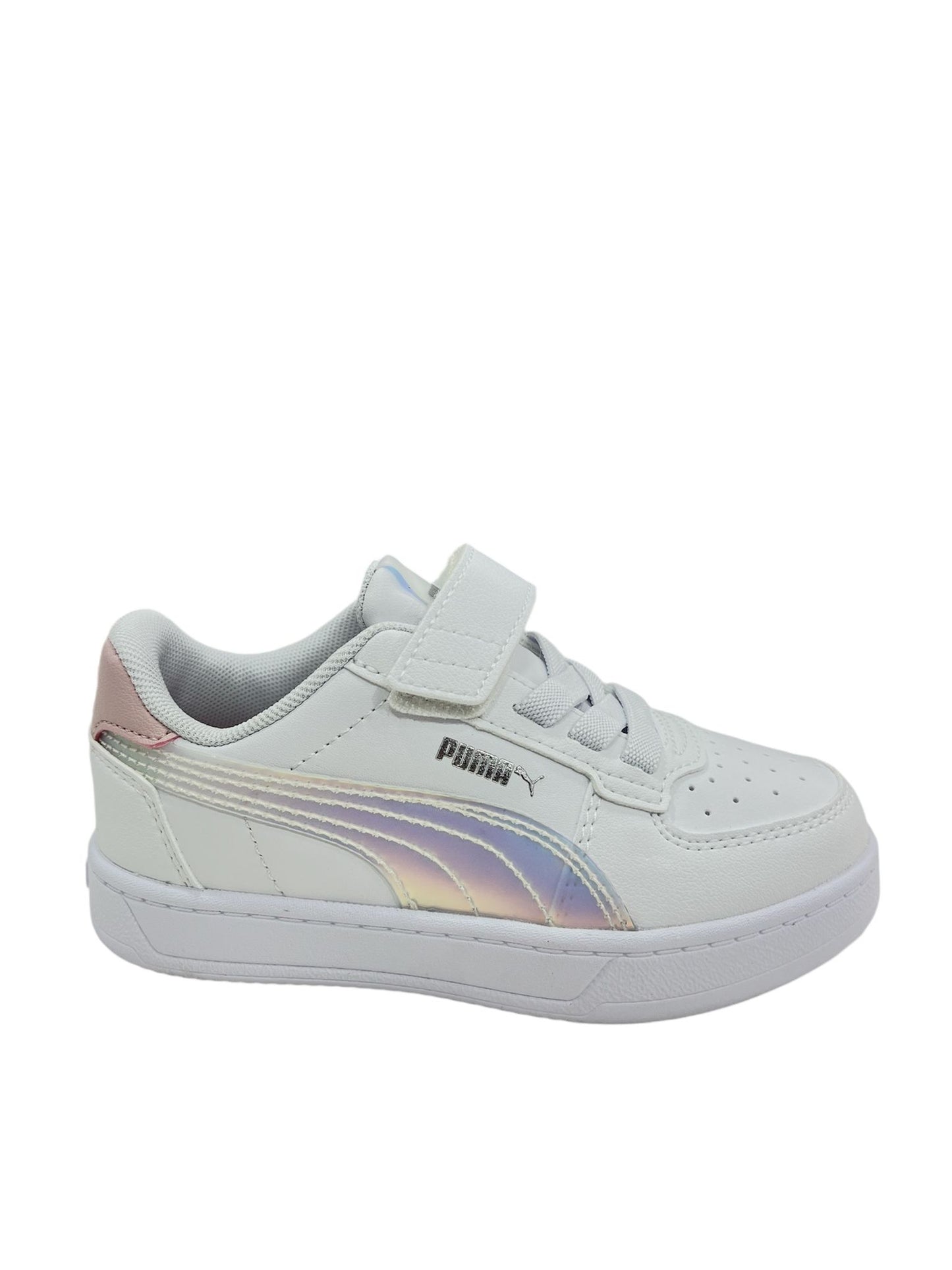 398729 PUMA boreale