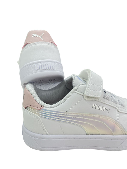 398729 PUMA boreale