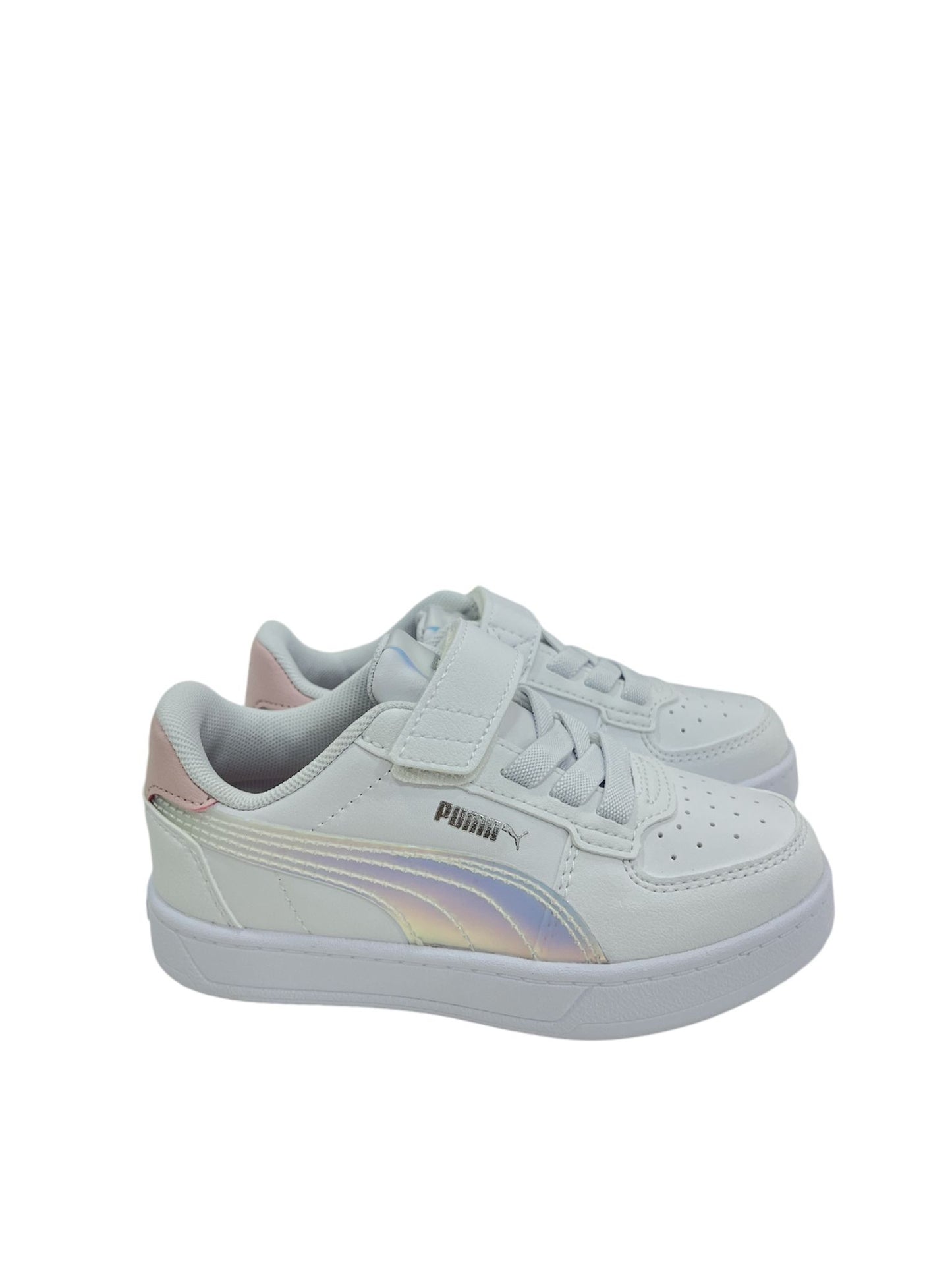 398729 PUMA boreale