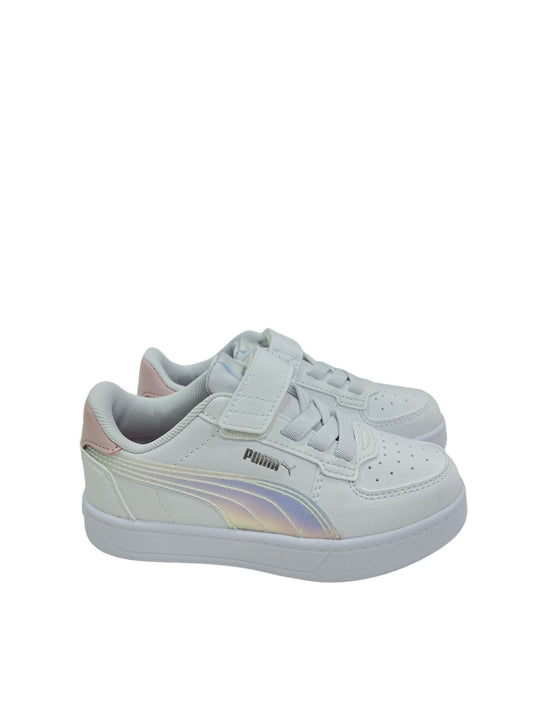 398729 PUMA boreale