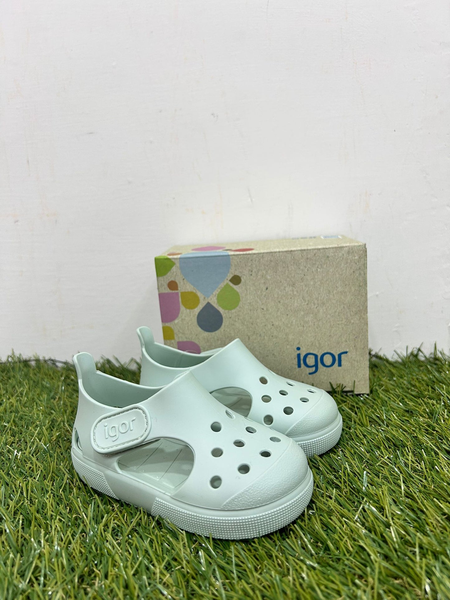 S10343 IGOR menta
