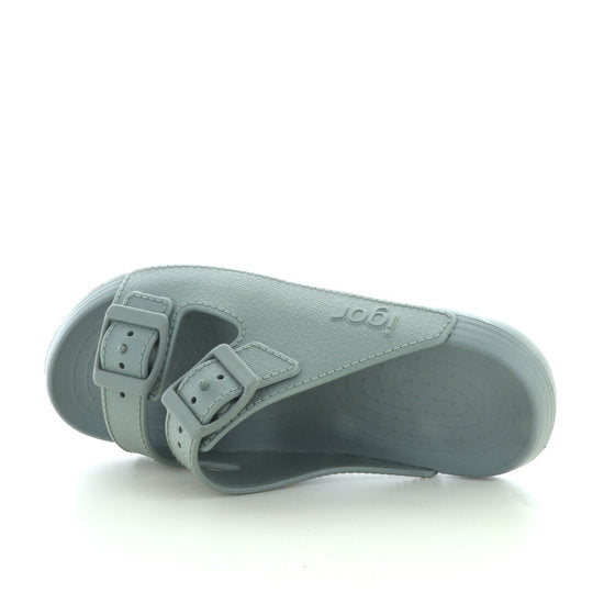 s10312-013 igor kai verde