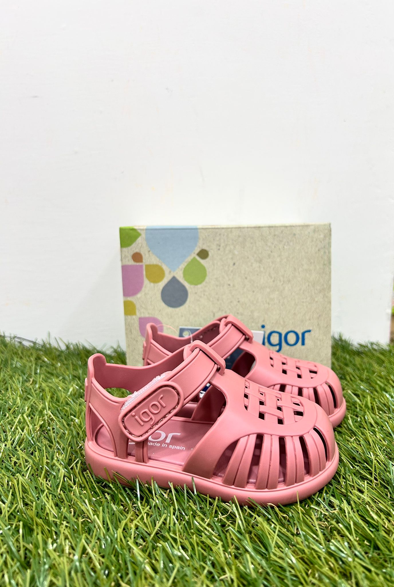 S10271 IGOR ragno rosa