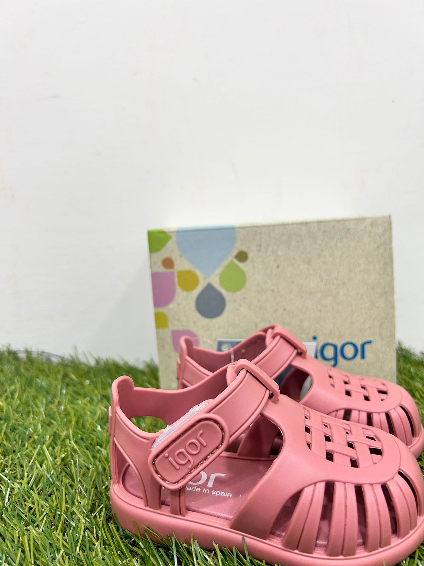 S10271 IGOR ragno rosa