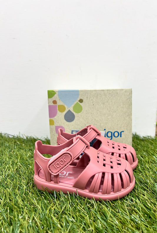 S10271 IGOR ragno rosa